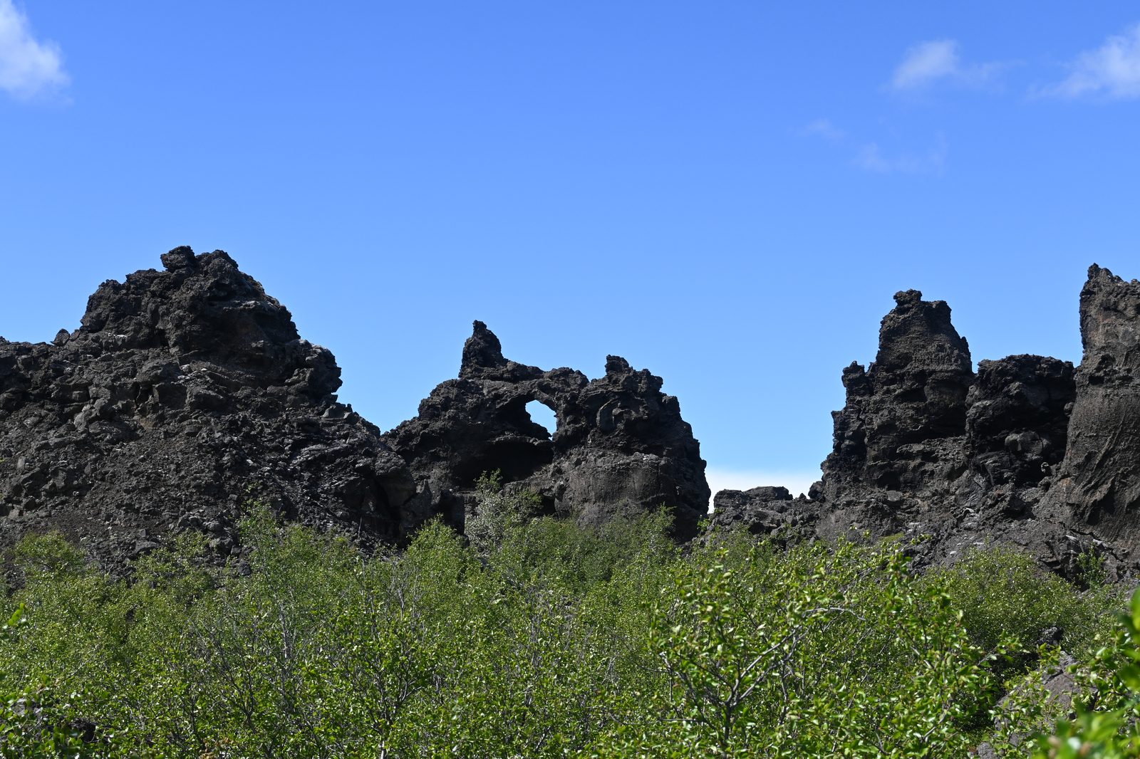 DSC_7751.JPG
